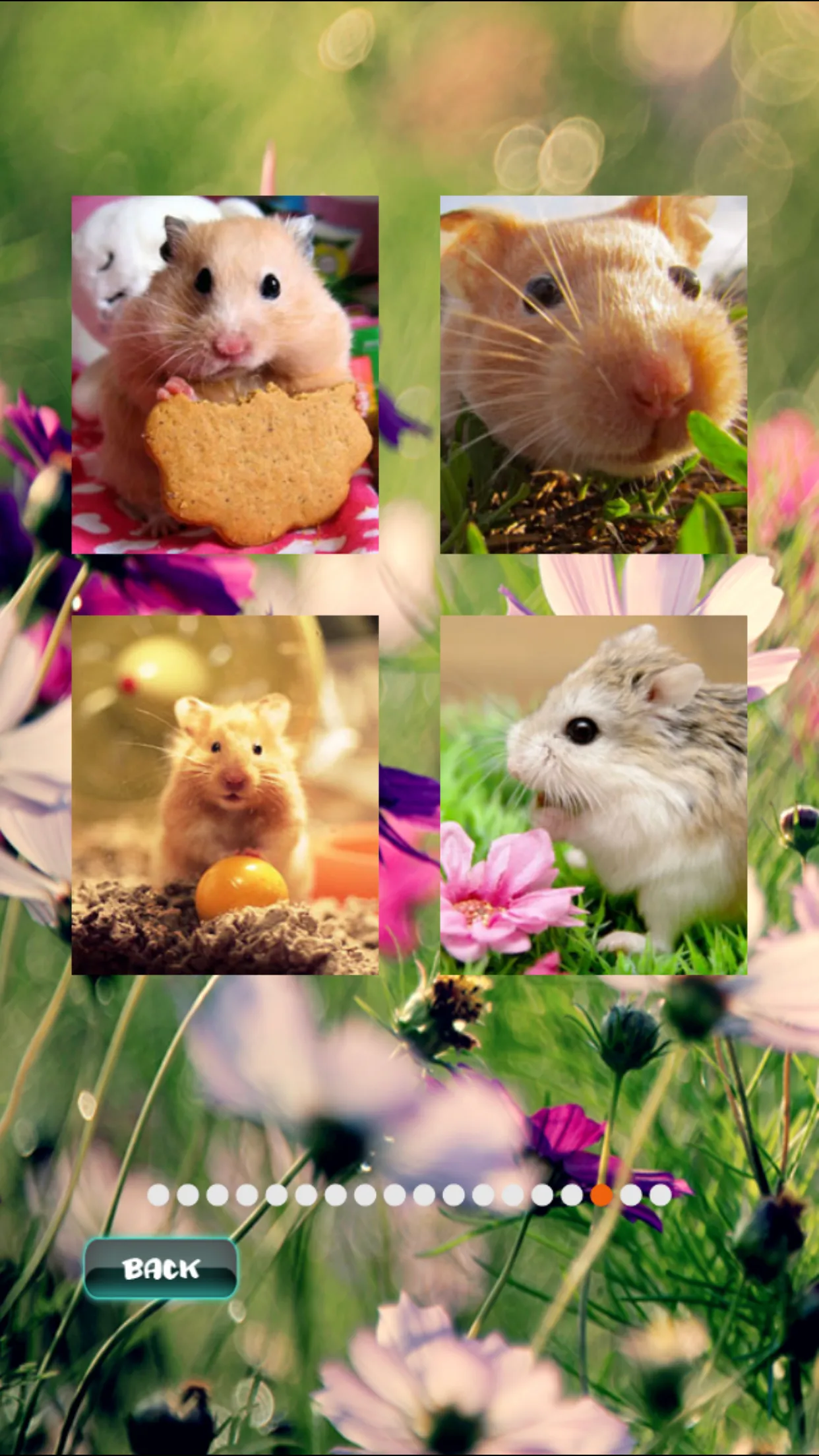 Hamster Pet Puzzles | Indus Appstore | Screenshot