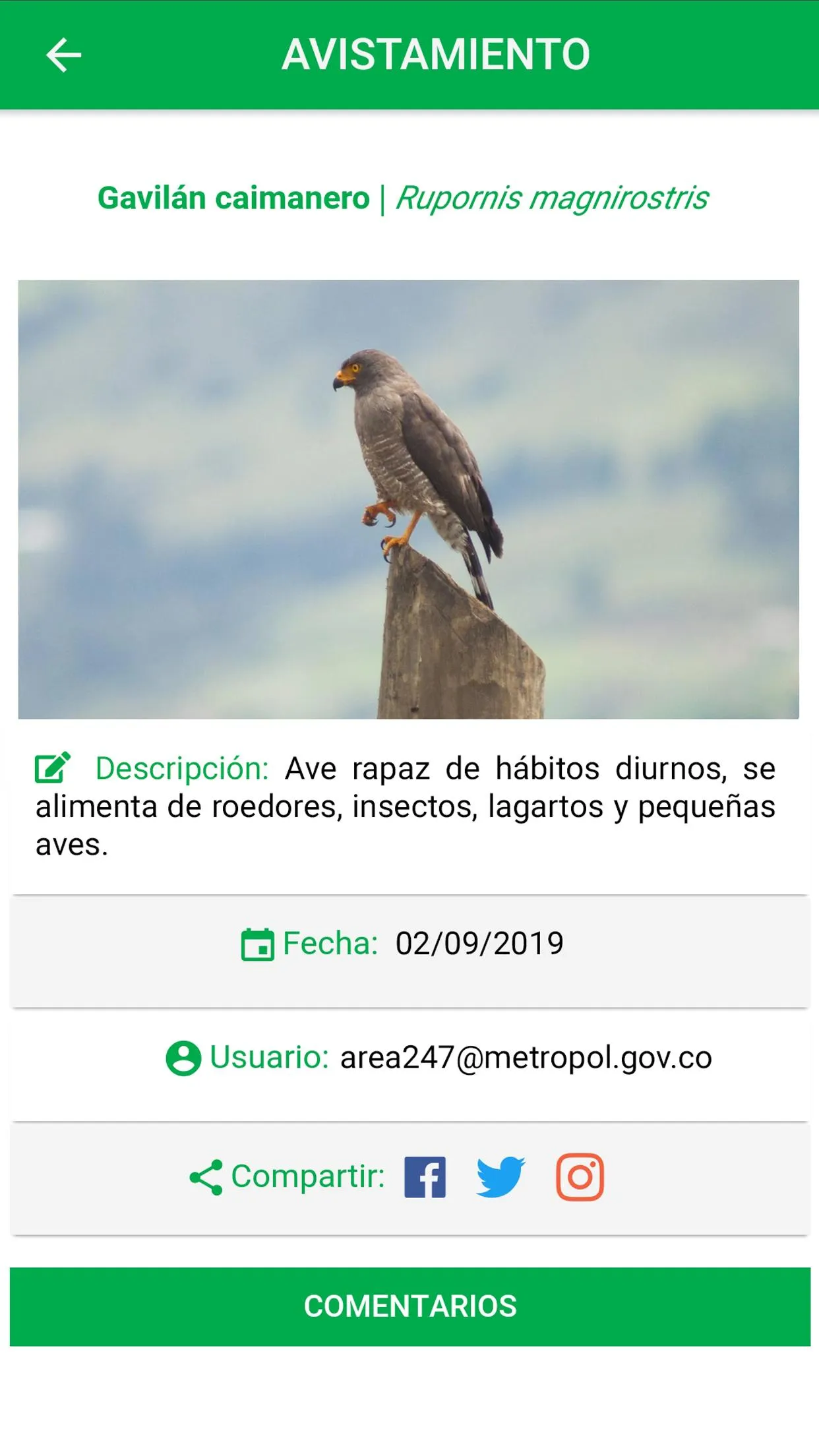 Área 24/7 | Indus Appstore | Screenshot