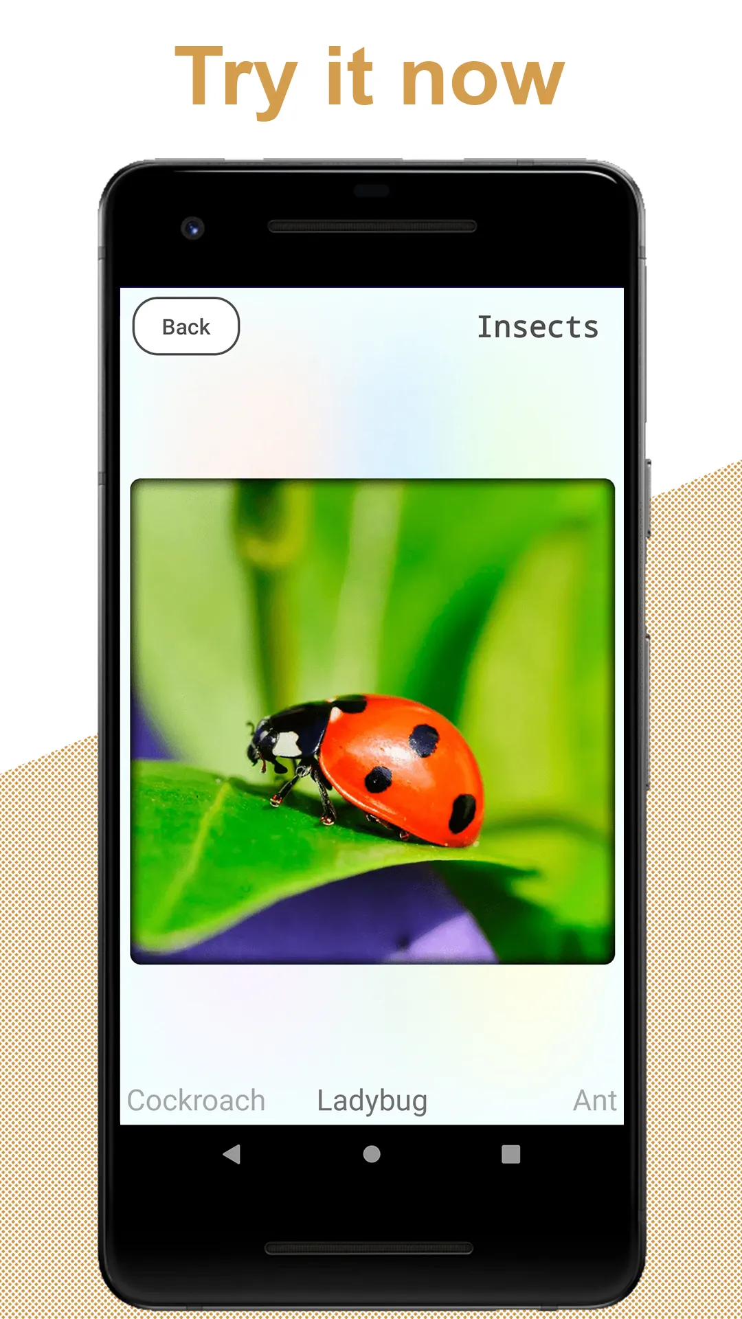 Flashcards for kids: Animals | Indus Appstore | Screenshot