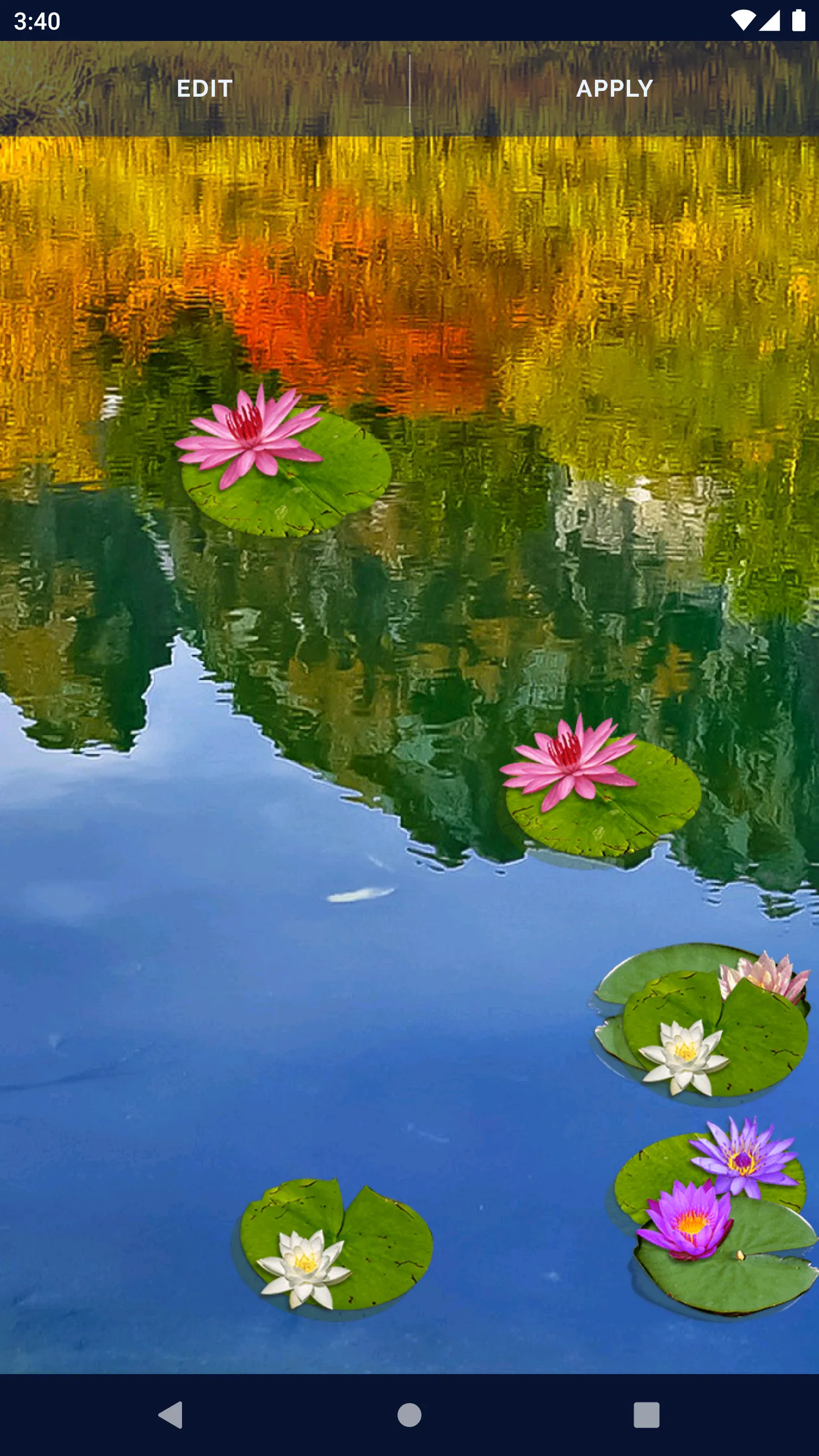 Water Lily Live Wallpaper | Indus Appstore | Screenshot