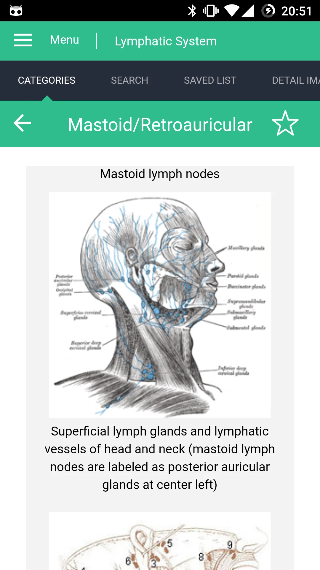 Lymphatic System Reference | Indus Appstore | Screenshot