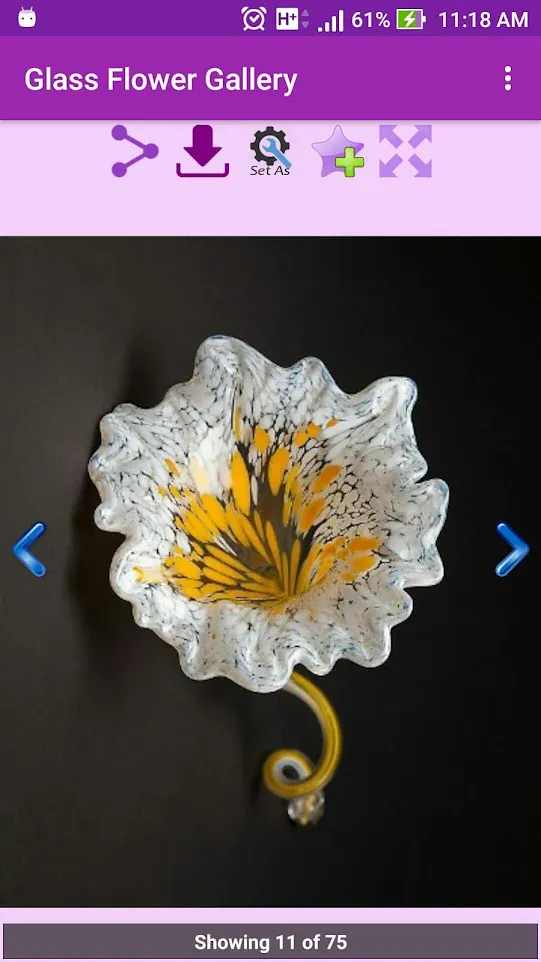 Glass Flower Gallery | Indus Appstore | Screenshot