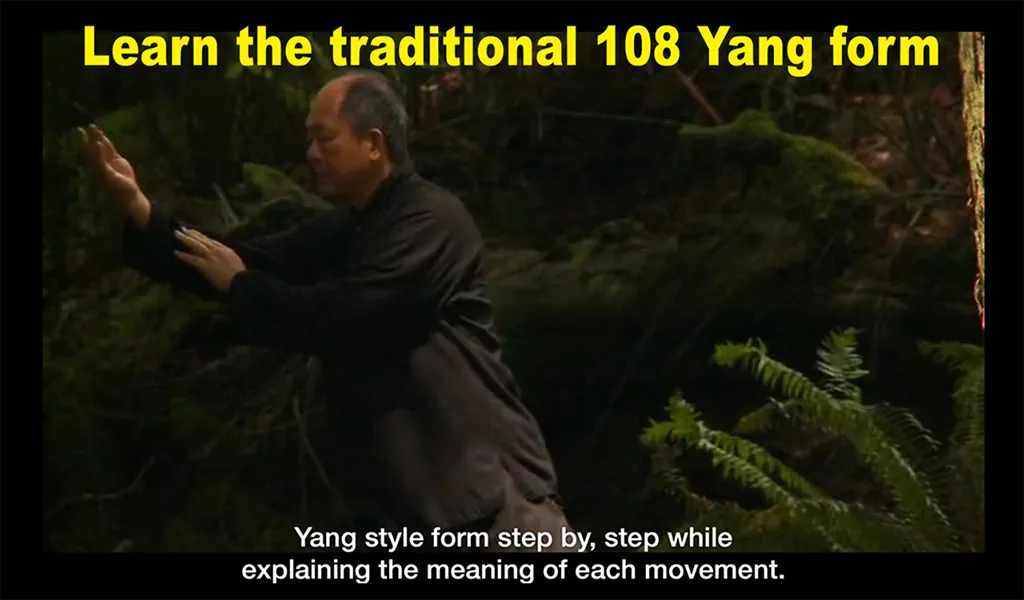 Yang Tai Chi Beginners Part 1 | Indus Appstore | Screenshot