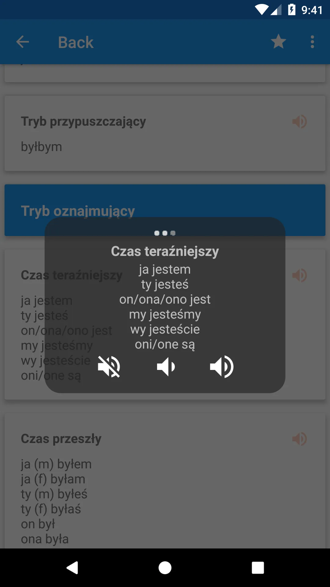 Polish Conjugation | Indus Appstore | Screenshot