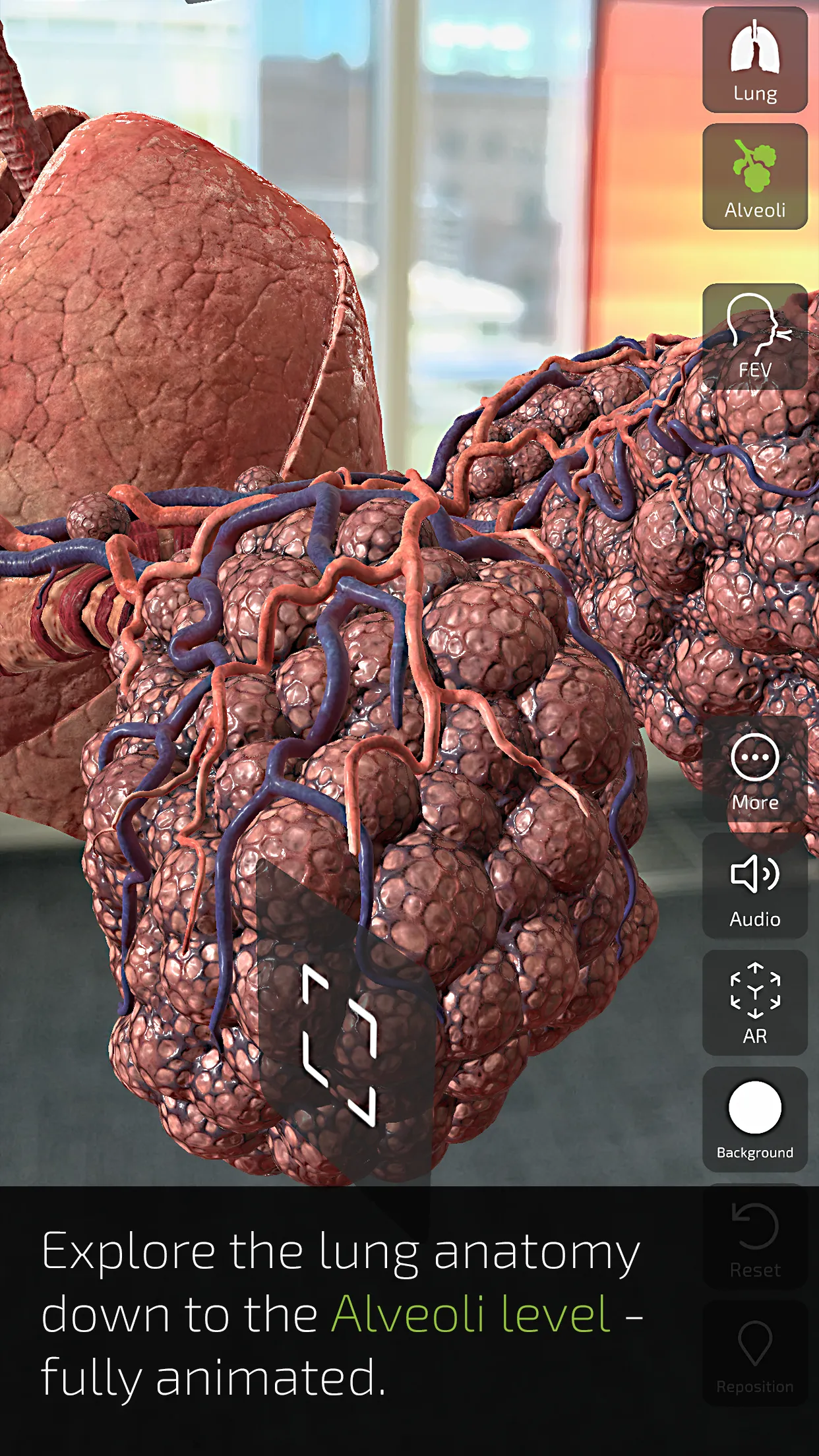 INSIGHT LUNG | Indus Appstore | Screenshot