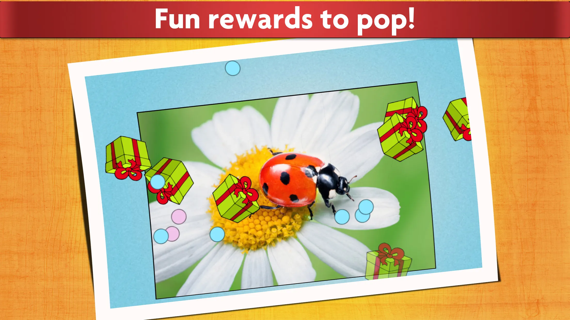 Insect Jigsaw Puzzle Game Kids | Indus Appstore | Screenshot