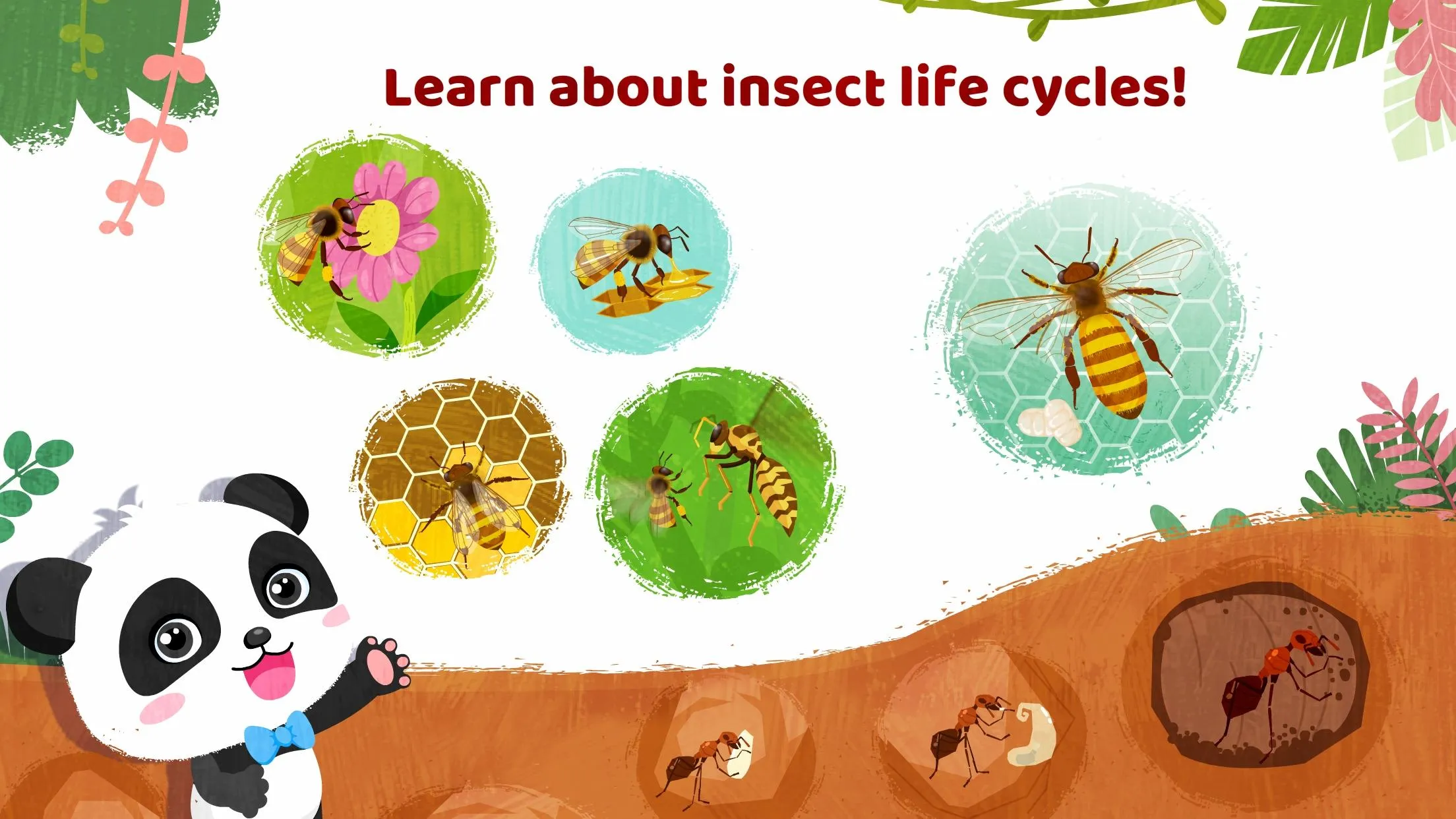 Little Panda's Insect World | Indus Appstore | Screenshot