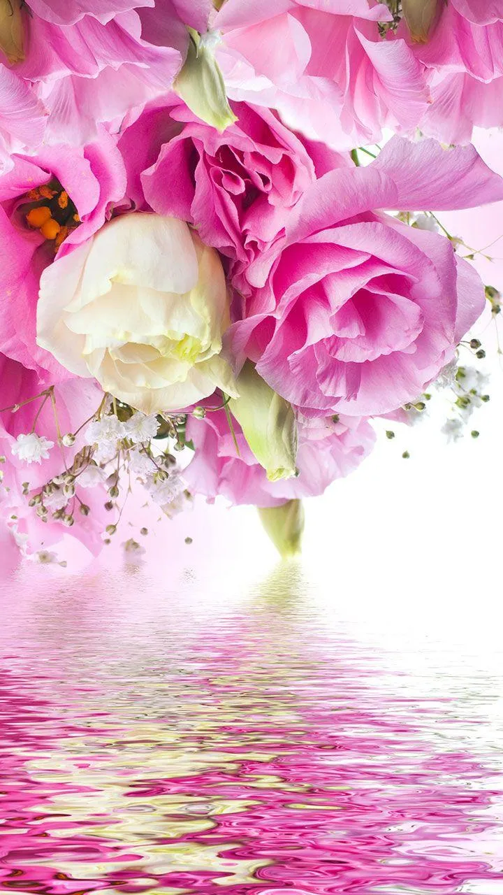 Pink Roses Live Wallpaper | Indus Appstore | Screenshot