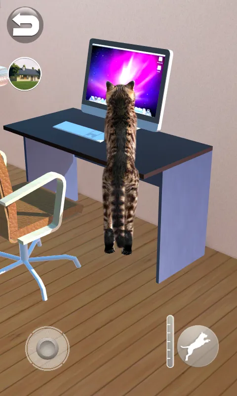 Talking Reality Cat | Indus Appstore | Screenshot