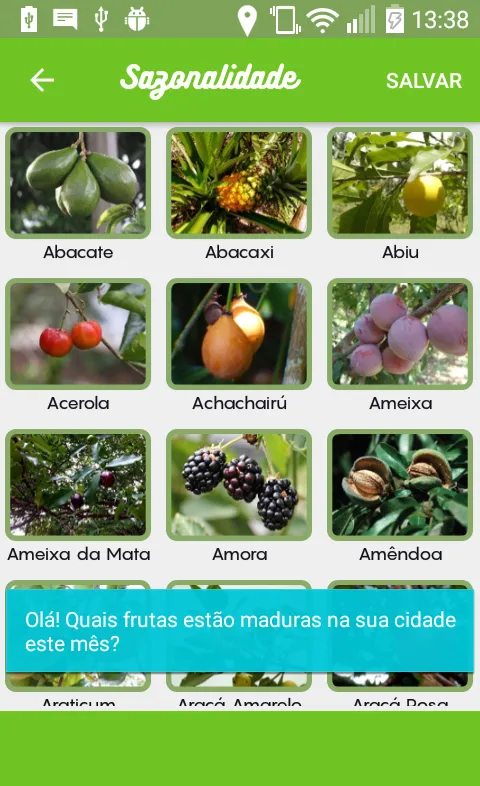 Fruit Map: Mapa de Frutas Cola | Indus Appstore | Screenshot