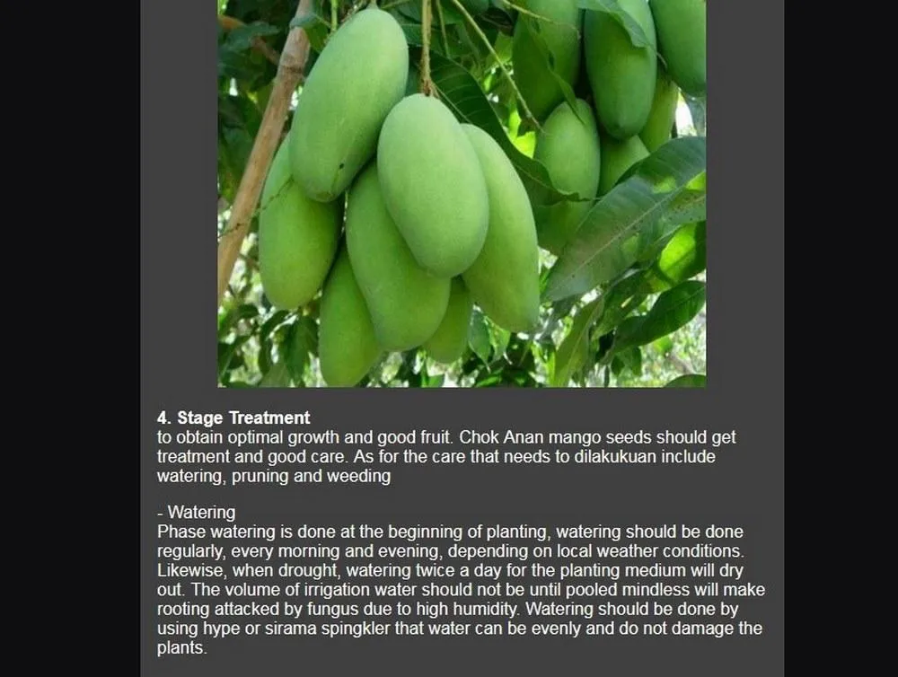 mango cultivation | Indus Appstore | Screenshot