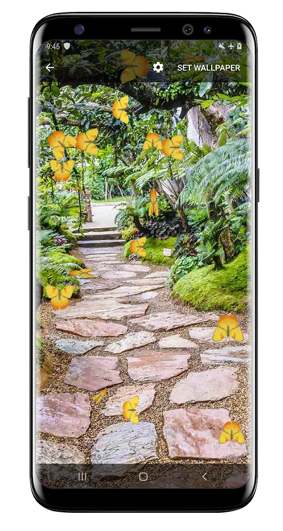 Butterfly and Blossom live wal | Indus Appstore | Screenshot