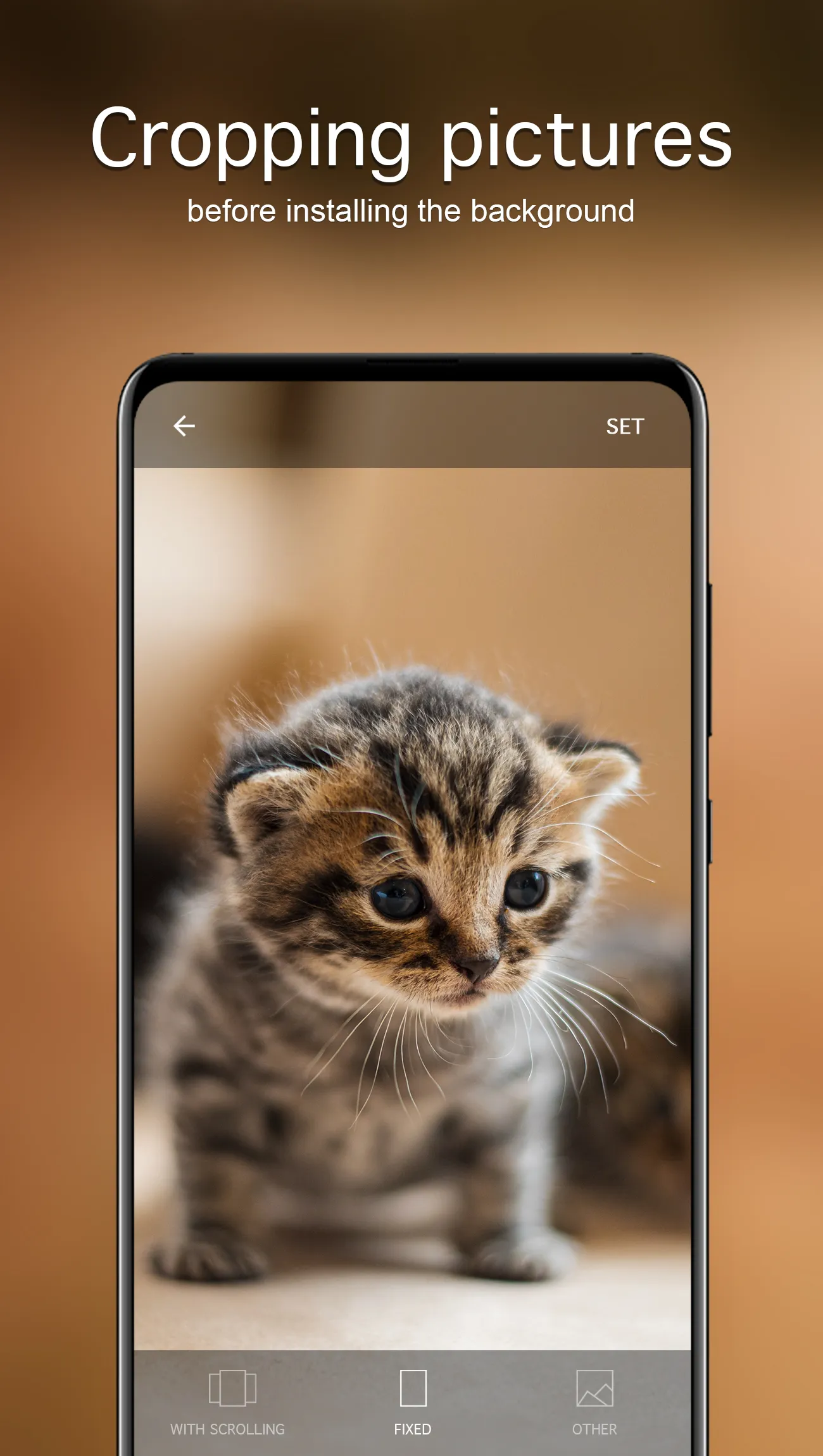 Cute Animal Wallpapers 4K | Indus Appstore | Screenshot