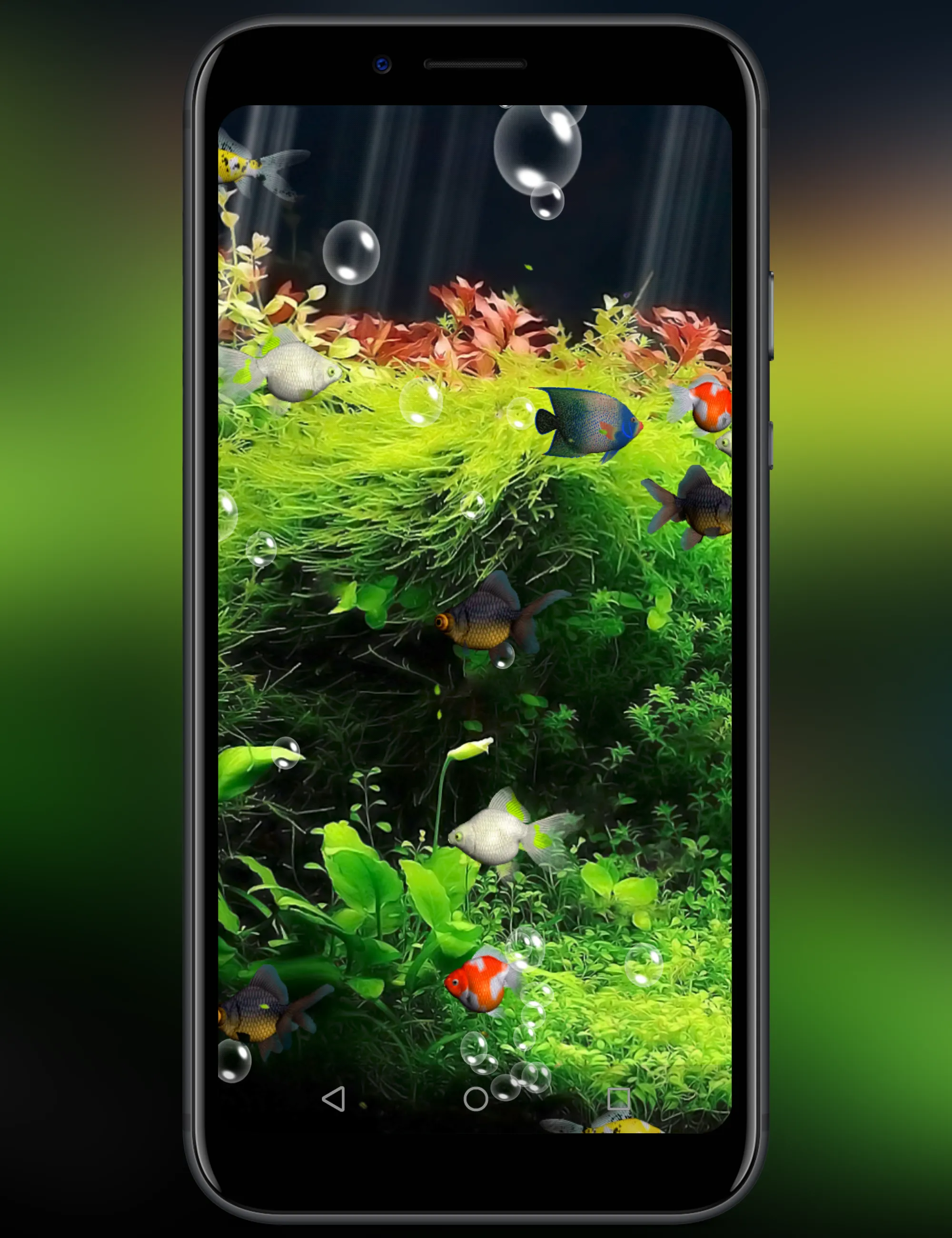 Aquarium | Indus Appstore | Screenshot