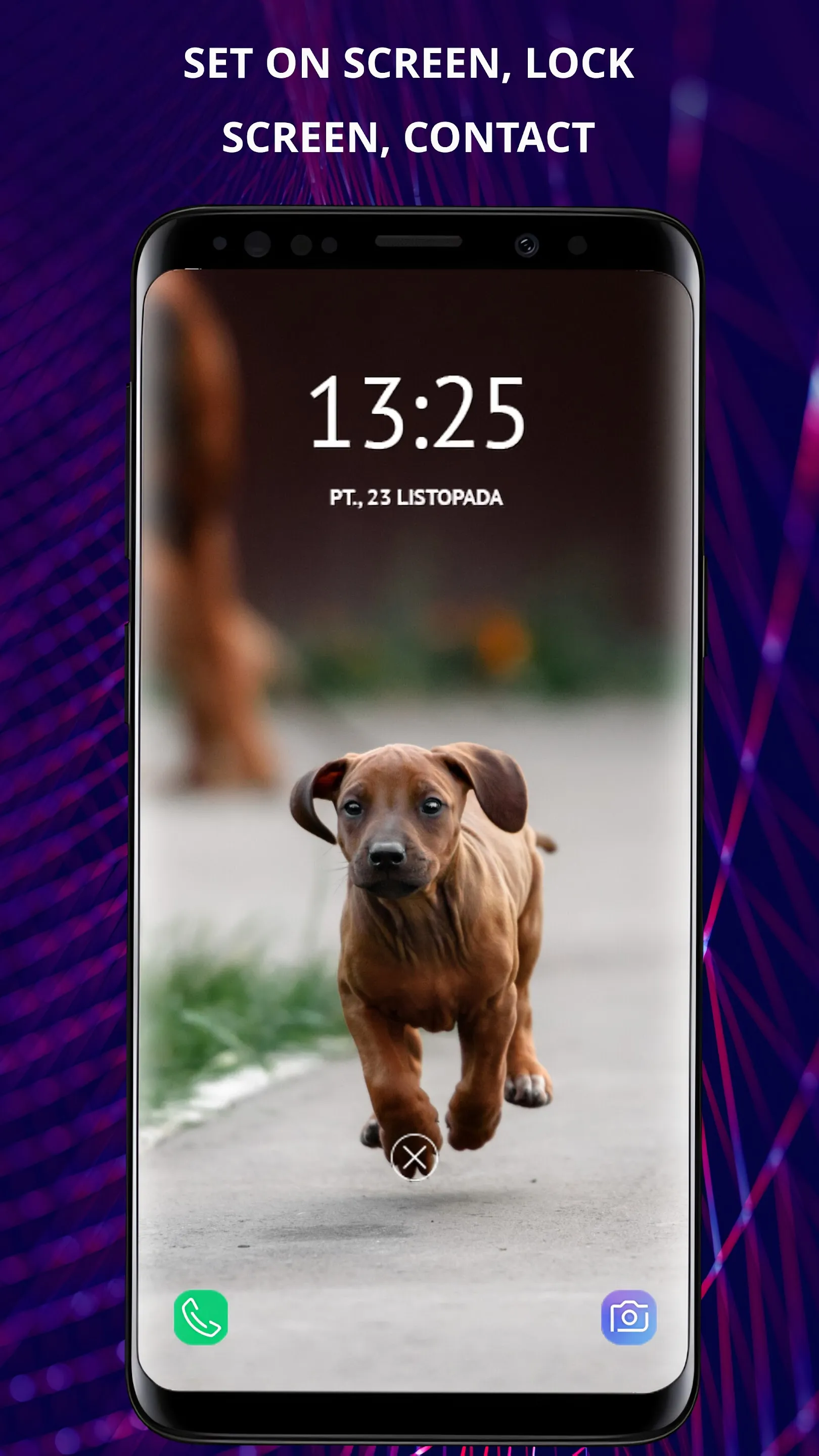 Dogs wallpapers for phone | Indus Appstore | Screenshot