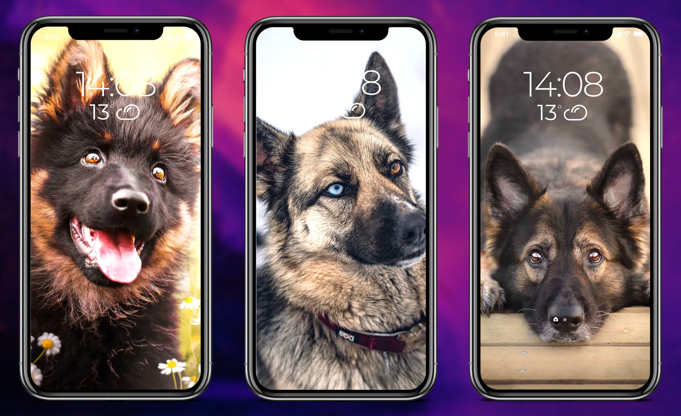 German Shepherd Wallpapers | Indus Appstore | Screenshot