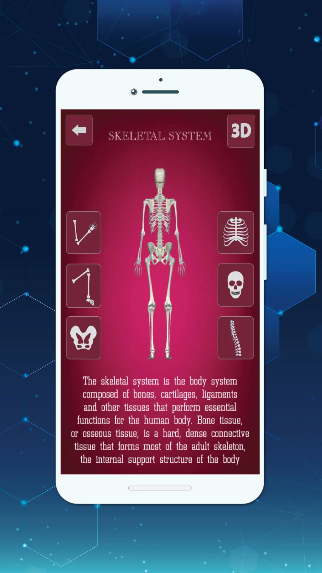 Complete 3D Female Anatomy | Indus Appstore | Screenshot