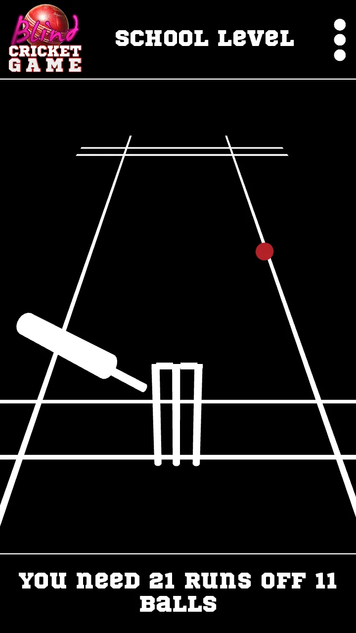 Blind Cricket | Indus Appstore | Screenshot