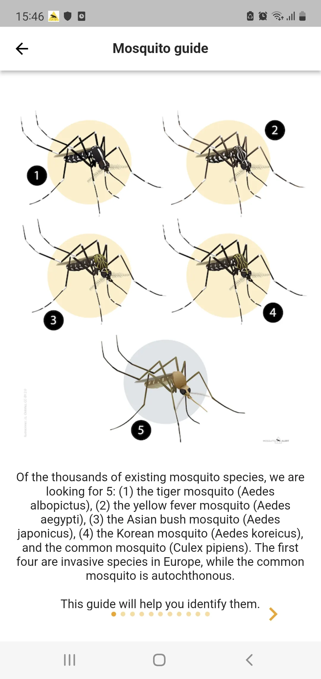 Mosquito Alert | Indus Appstore | Screenshot