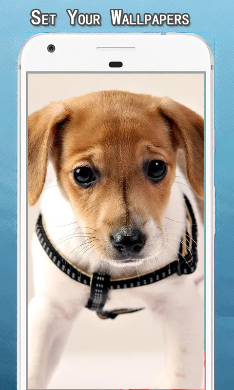 Cute Puppy Dog Wallpapers Hd | Indus Appstore | Screenshot