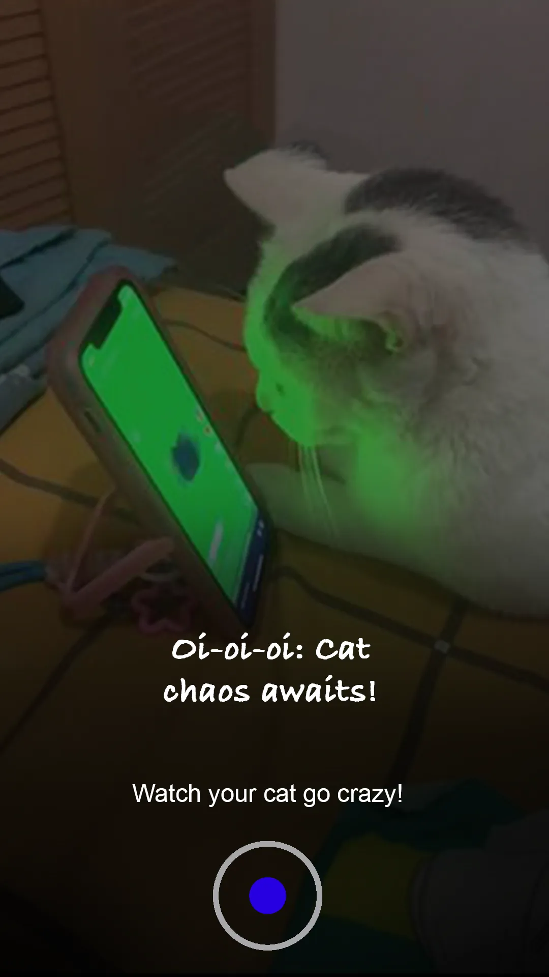 Spinning Cat - OIIA Cat Spin | Indus Appstore | Screenshot