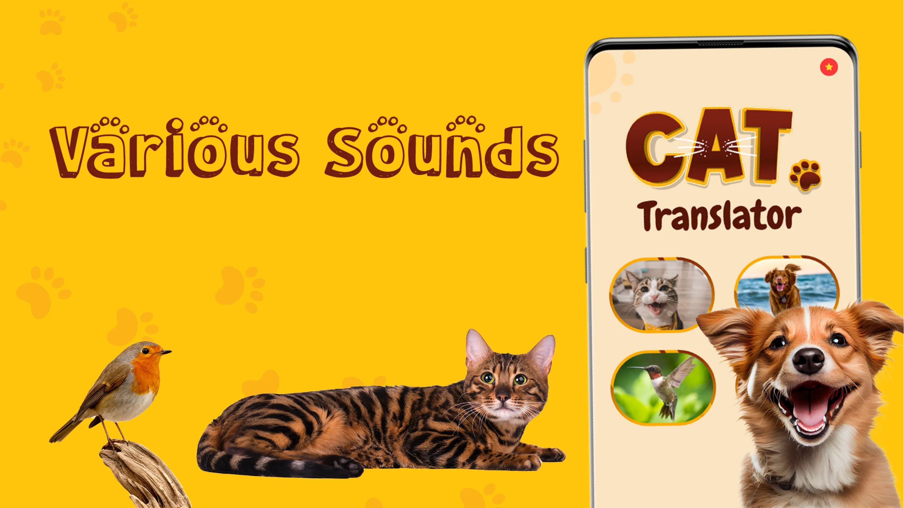 Translate for Animal: Cat, Dog | Indus Appstore | Screenshot