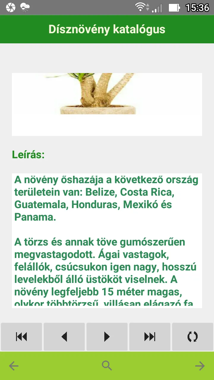 Dísznövény katalógus | Indus Appstore | Screenshot