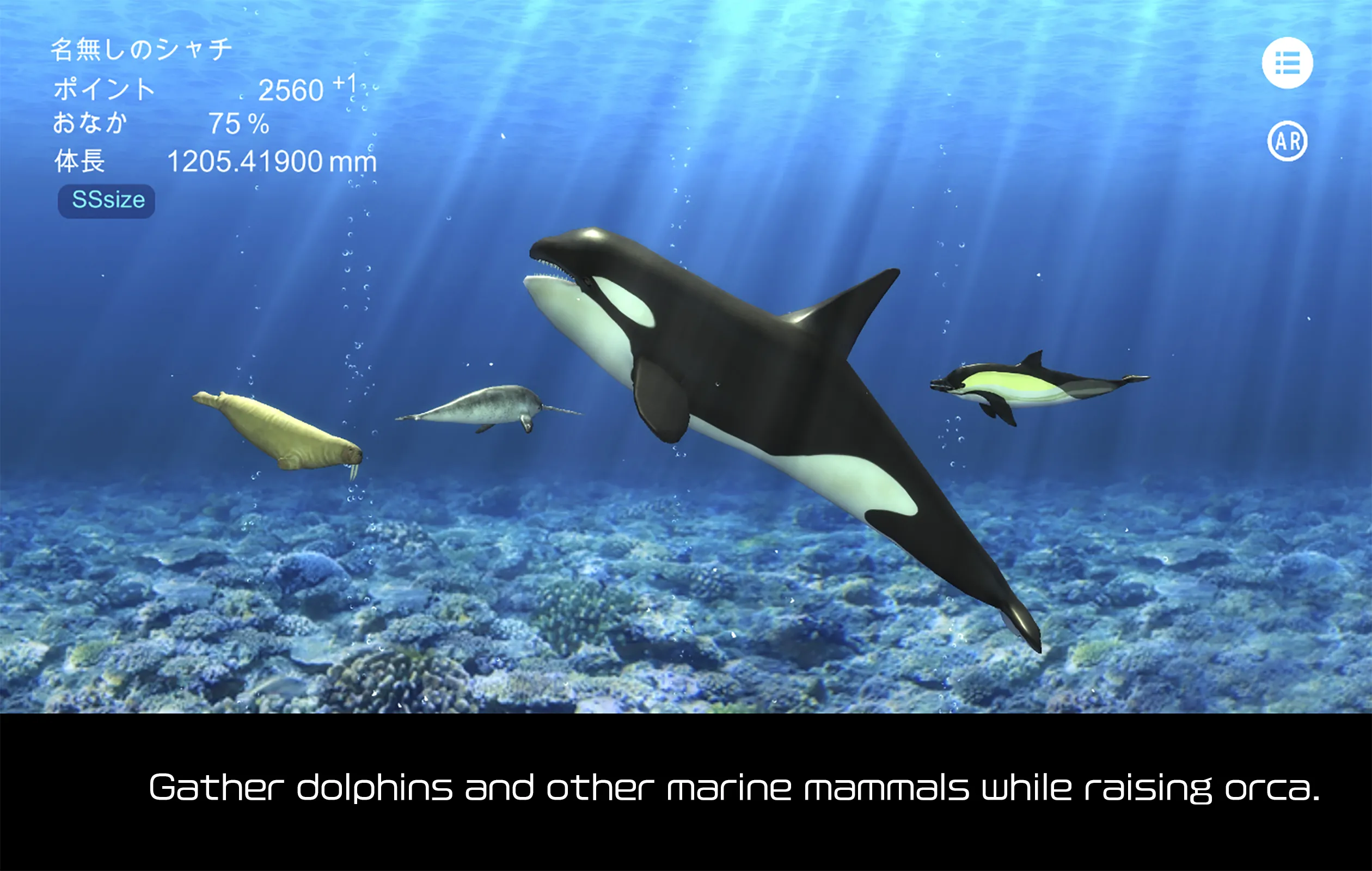 Orca  and marine mammals | Indus Appstore | Screenshot