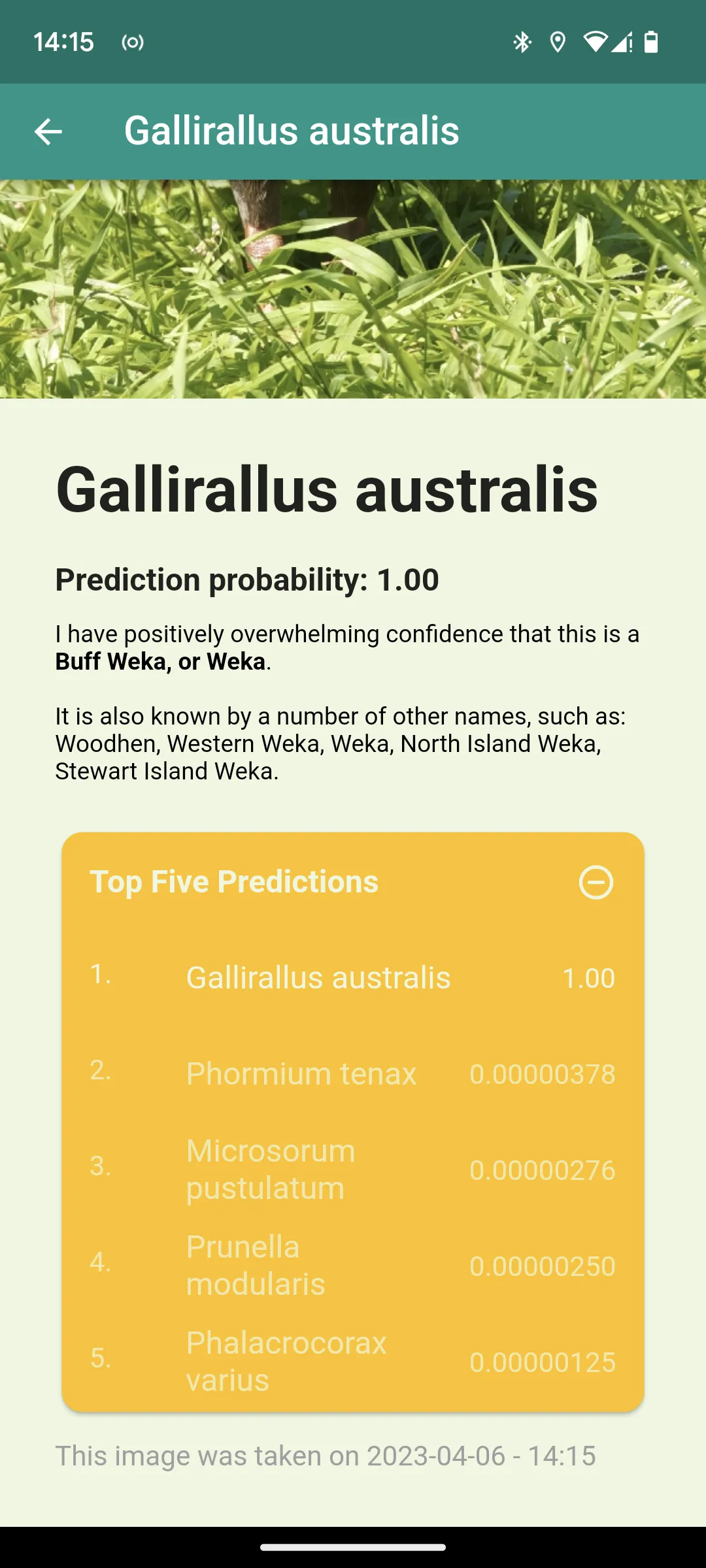 Aotearoa Species Classifier | Indus Appstore | Screenshot