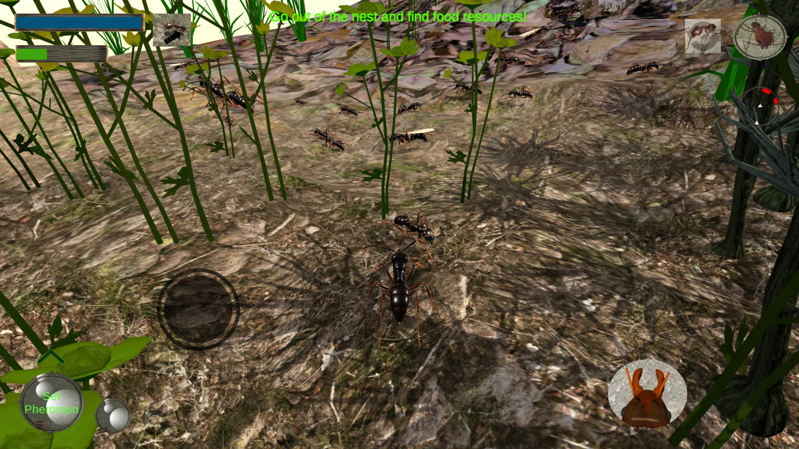 Ant Simulation 3D - Insect Sur | Indus Appstore | Screenshot