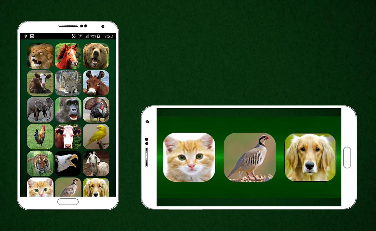 Animal Sounds | Indus Appstore | Screenshot