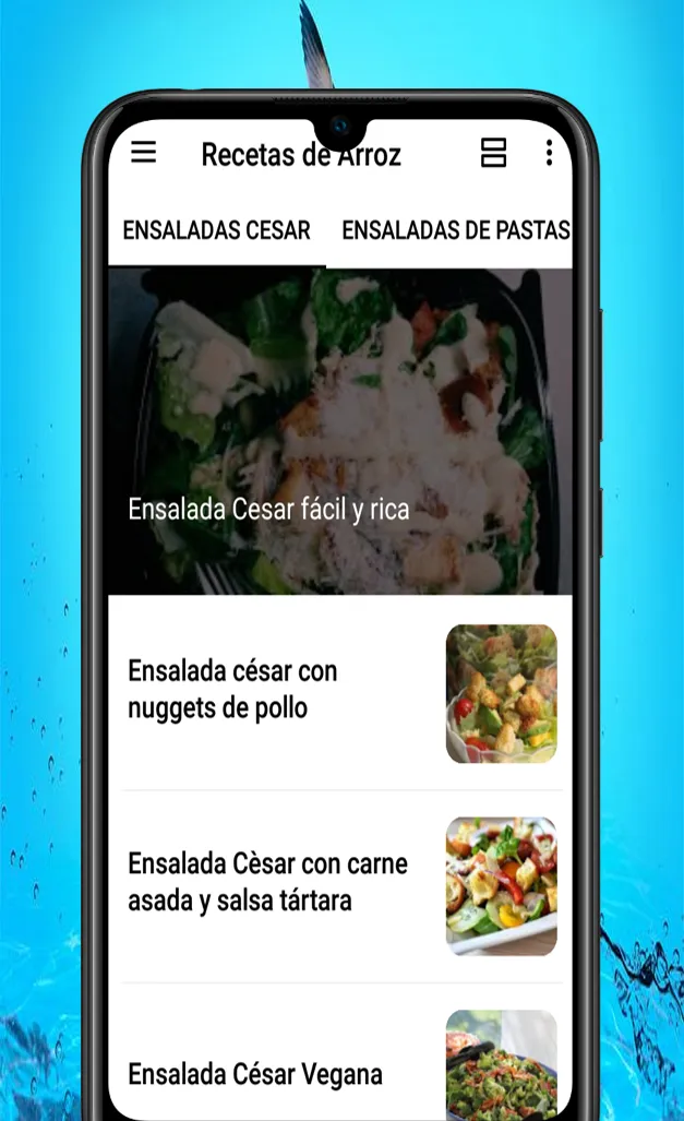 Recetas de Arroz | Indus Appstore | Screenshot