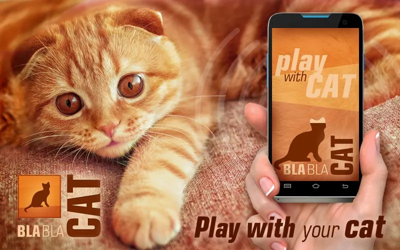 BlaBlaCat: Cats Sounds | Indus Appstore | Screenshot