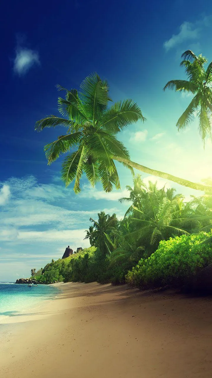 Beach Sunset Live Wallpaper | Indus Appstore | Screenshot