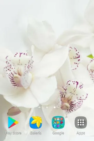 Orchid Wallpapers | Indus Appstore | Screenshot