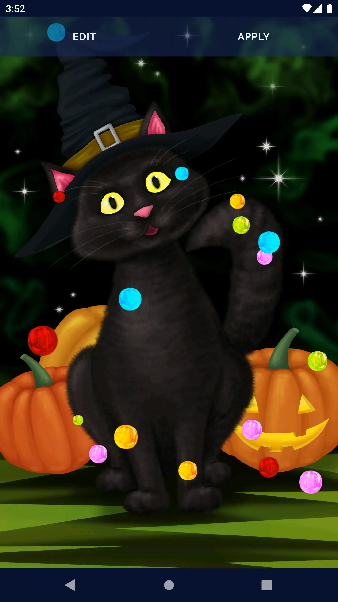 Halloween Black Cat Wallpaper | Indus Appstore | Screenshot