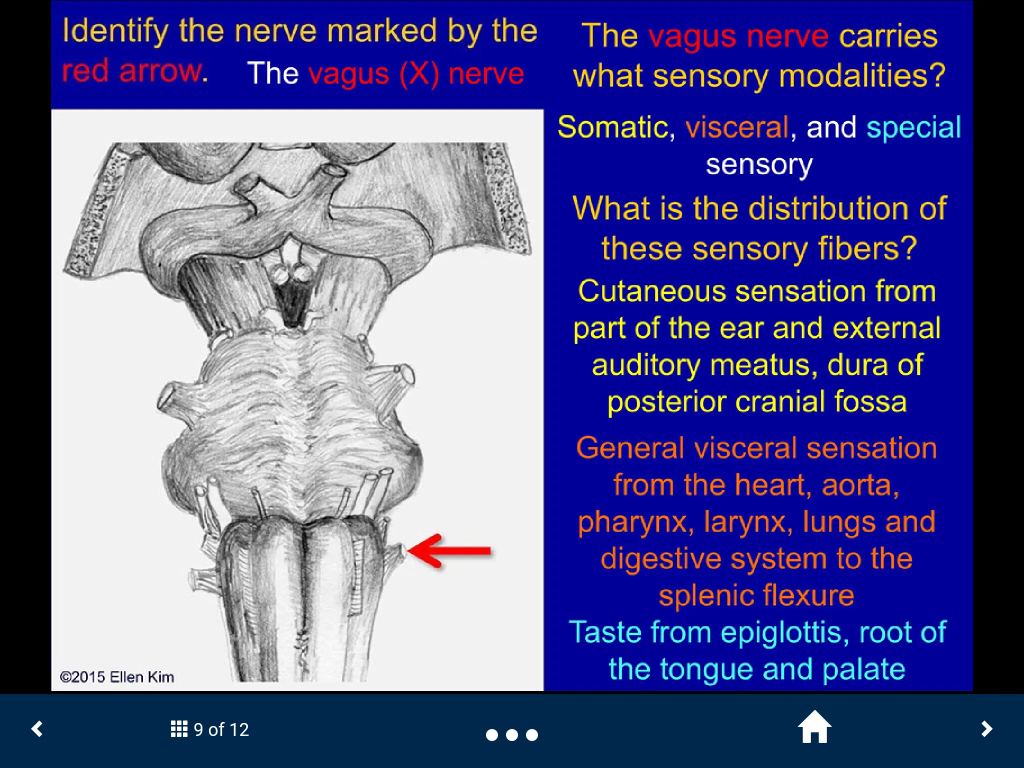 Neuroanatomy - SecondLook | Indus Appstore | Screenshot