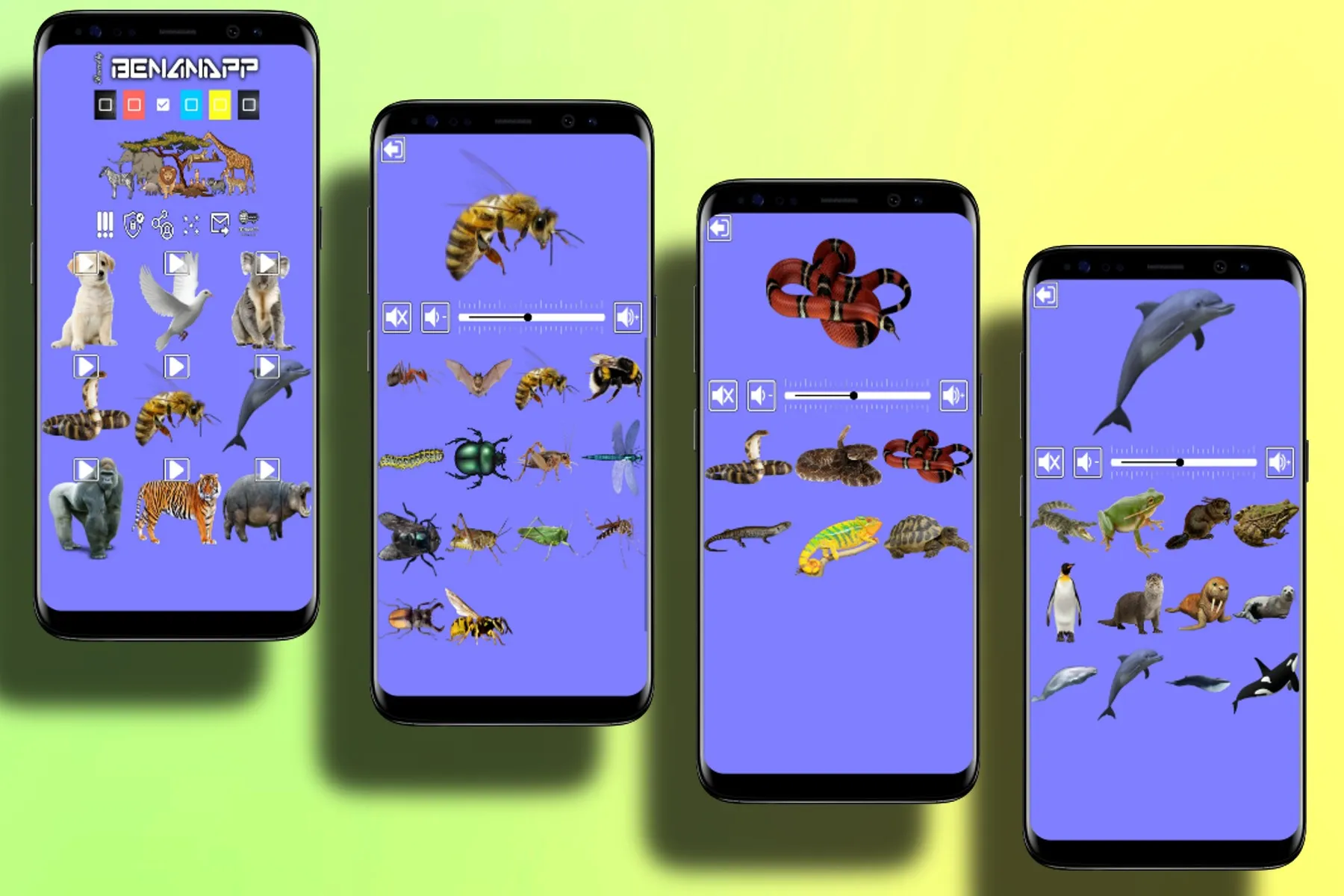 Animal Sounds | Indus Appstore | Screenshot