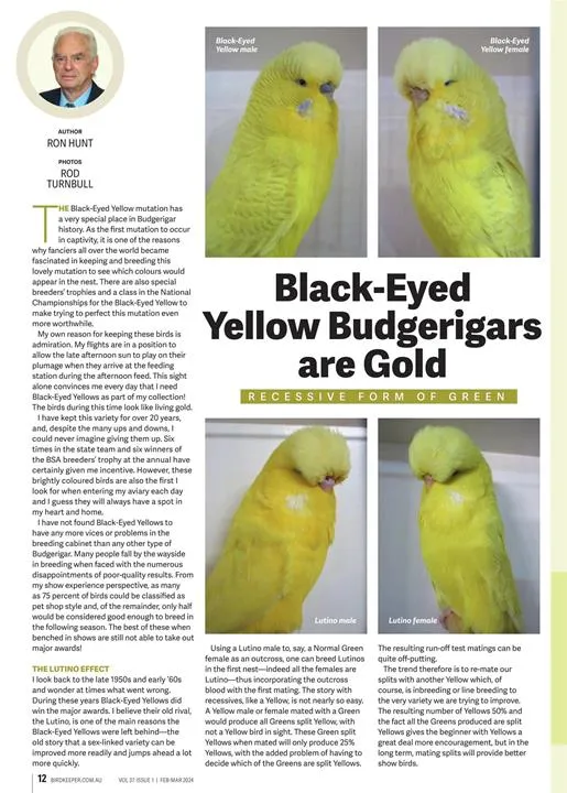 Australian Birdkeeper Magazine | Indus Appstore | Screenshot