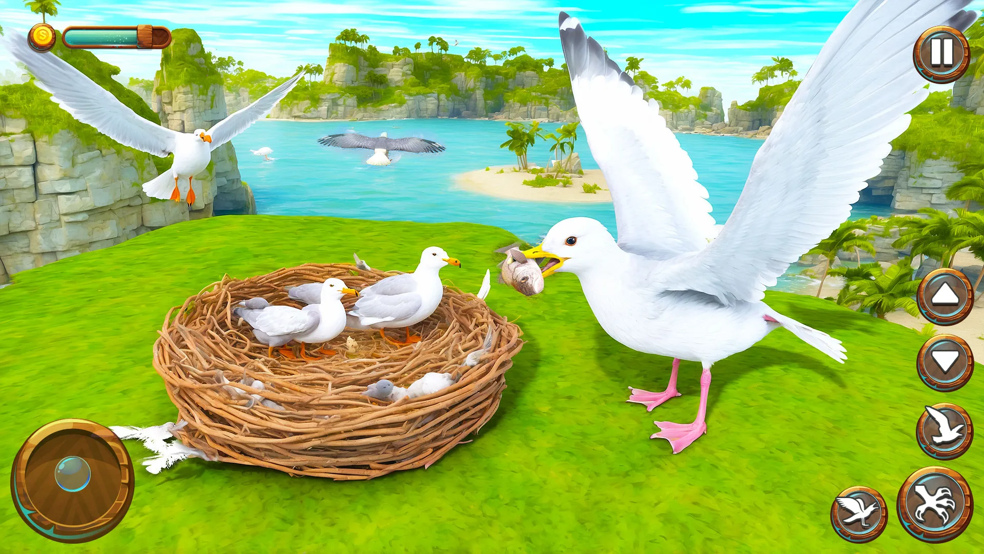 Seagull Bird Life Simulator | Indus Appstore | Screenshot