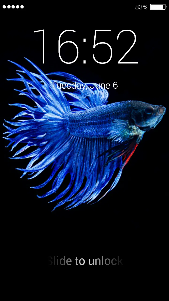 Betta Fish Lock Screen | Indus Appstore | Screenshot