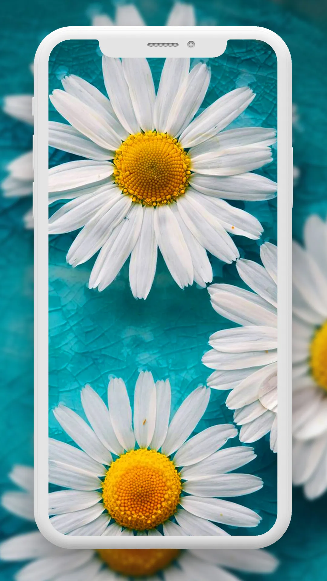 Flower Wallpaper HD – 4k | Indus Appstore | Screenshot