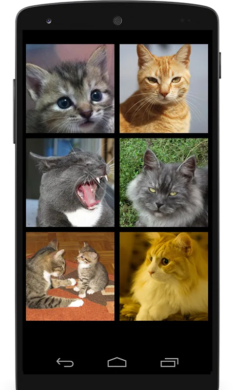 Cat Sounds for Cat | Indus Appstore | Screenshot