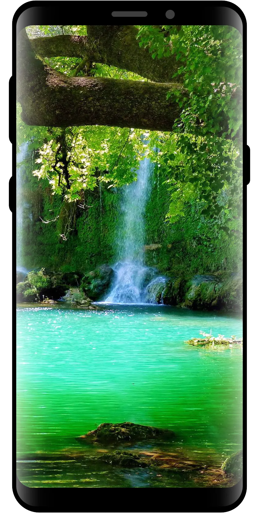 10000 Nature Wallpapers | Indus Appstore | Screenshot