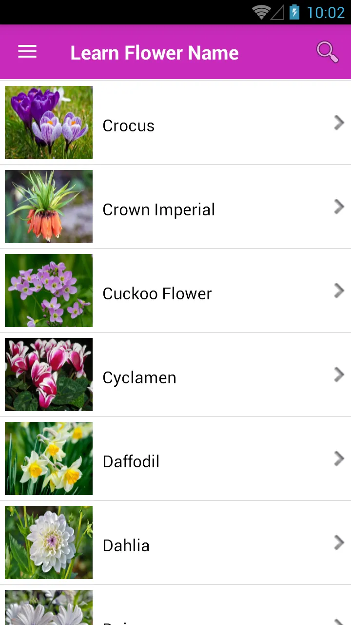 Learn Flower Name | Indus Appstore | Screenshot