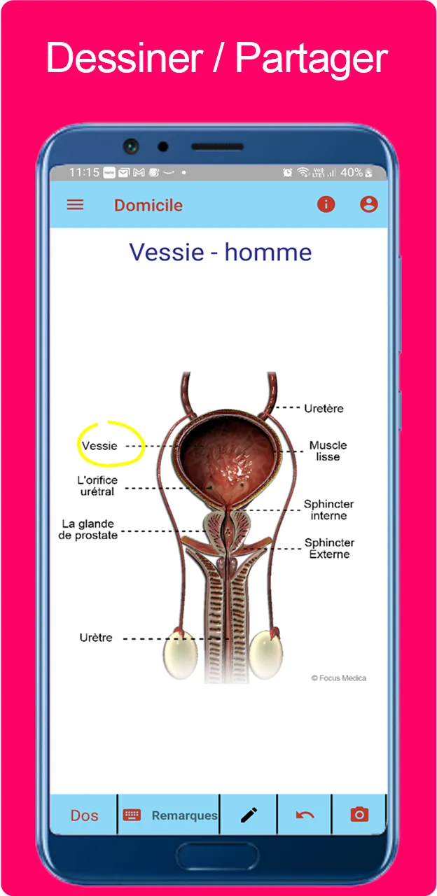 Atlas d'urologie | Indus Appstore | Screenshot