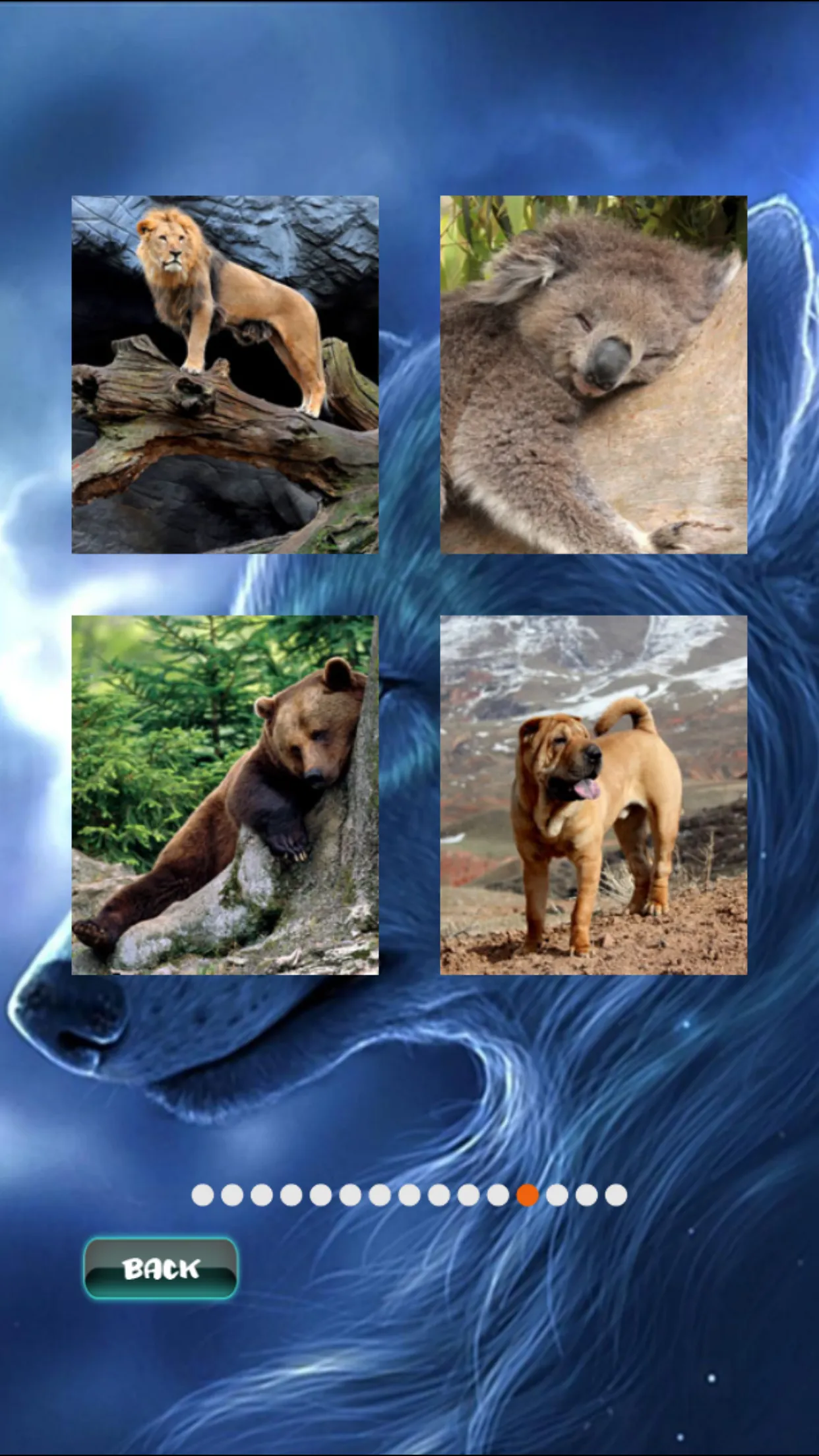 Animals Jigsaw Puzzle | Indus Appstore | Screenshot