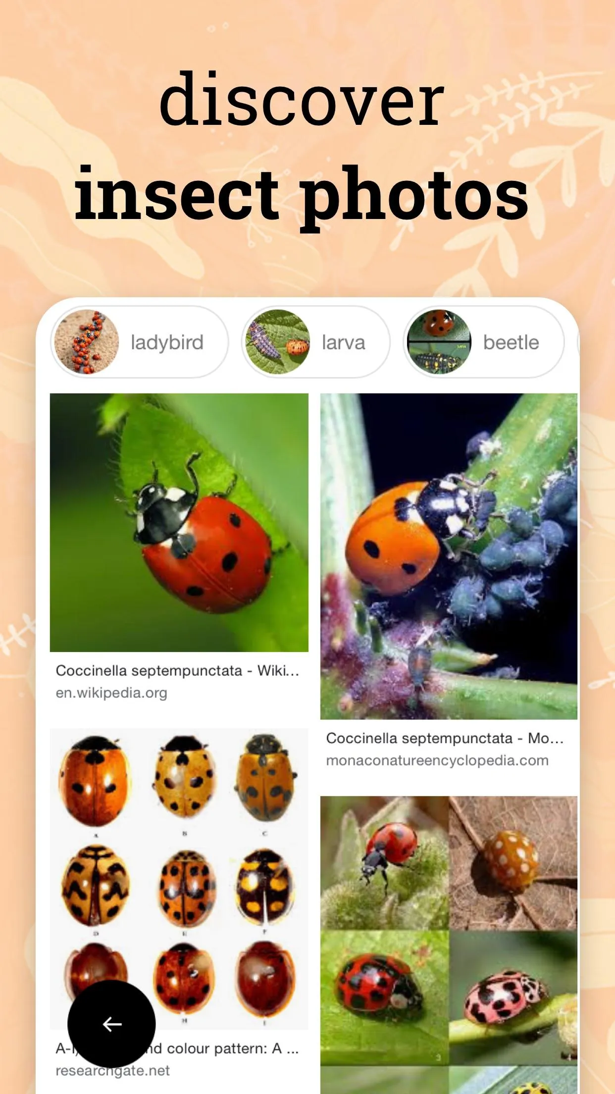 Insect identifier - identity | Indus Appstore | Screenshot