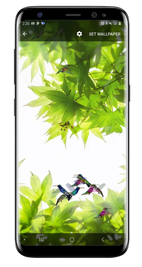 Birds Flying Live Wallpaper | Indus Appstore | Screenshot