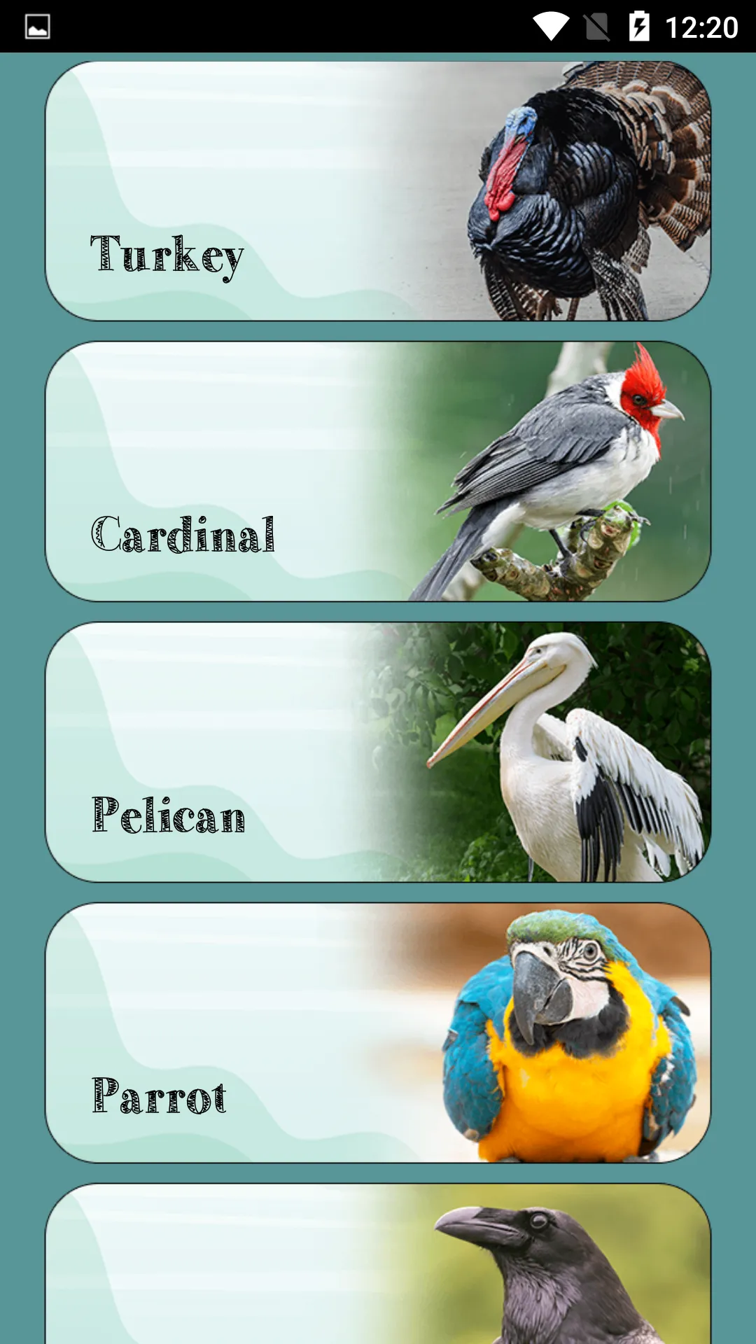 Bird Sounds | Indus Appstore | Screenshot